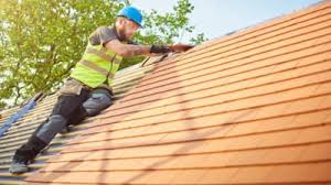 Best Asphalt Shingles Roofing  in Fincastle, TN