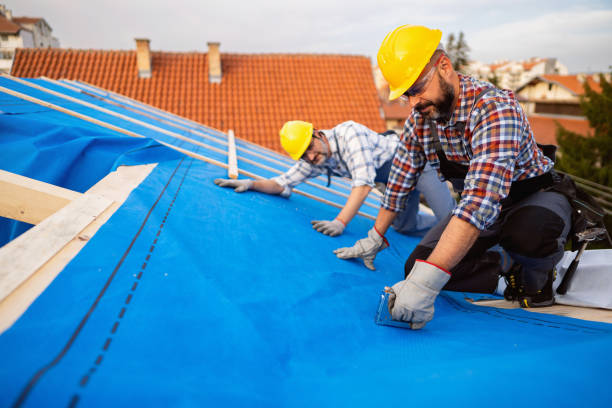 Best Roof Moss and Algae Removal  in Fincastle, TN