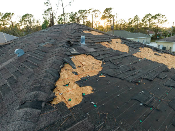 Best Metal Roofing Installation  in Fincastle, TN